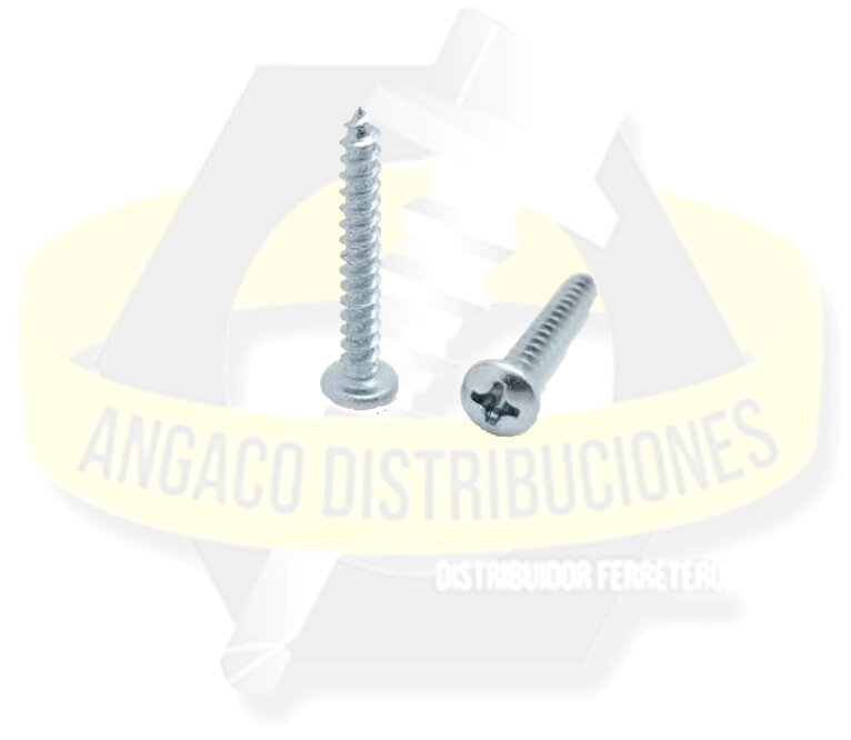 TORNILLO ROSCACHAPA PARKER RANURADO 6 X 3/8