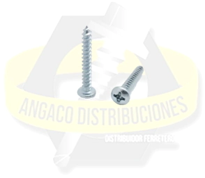 TORNILLO ROSCACHAPA PARKER RANURADO 12 X 1