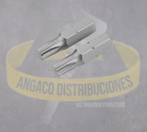 PUNTAS TORX 2 PIEZAS IND T15X25MM